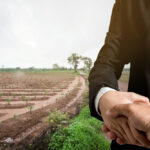 قانون المالك والمستأجر للاراضي الزراعية